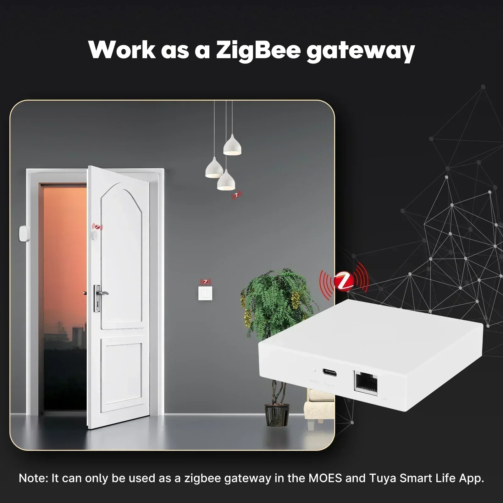 MOES Tuya Zigbee Matter Thread – обзор и цена Matter Hub Thread